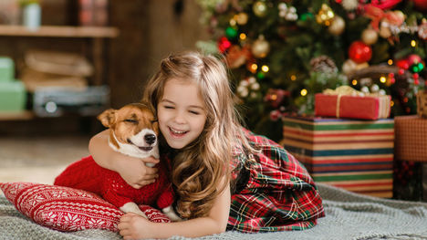 Zviera ako vianočný darček? Nekupujte – adoptujte!