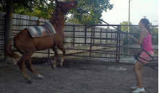 Aj kôň vám môže dopomôcť ku vysnívanej postave - KAMzaKRASOU.sk