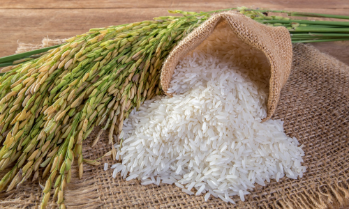 Jazmínová ryža: Oplatí sa priplatiť alebo zostať radšej pri klasickej?
