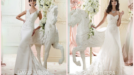 Svadobné šaty ako z rozprávky - DAVID TUTERA II.