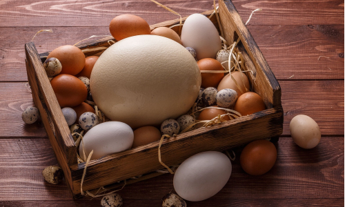 Ktoré vajíčka sú zdravšie než slepačie? Dokážu predísť vzniku rakoviny?