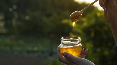 Ako využiť med v záhrade? Nepridávaj si ho len do čaju!