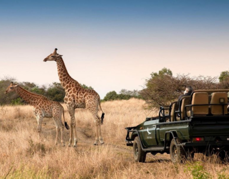 Luxusné dobrodrodružstvo na vlastnej koži: TOTO je najdrahšie safari na svete