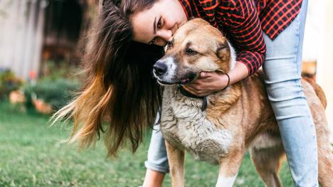 Štvornohý liek: Povieme ti, prečo mať psa a čo to s tebou urobí ​