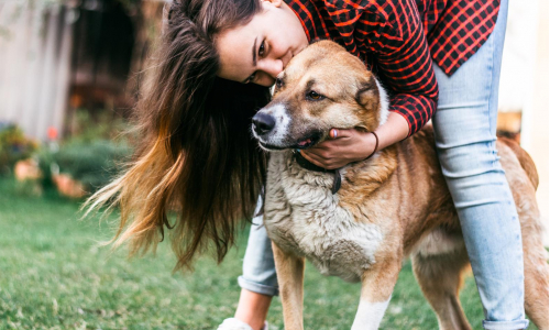 Štvornohý liek: Povieme ti, prečo mať psa a čo to s tebou urobí ​