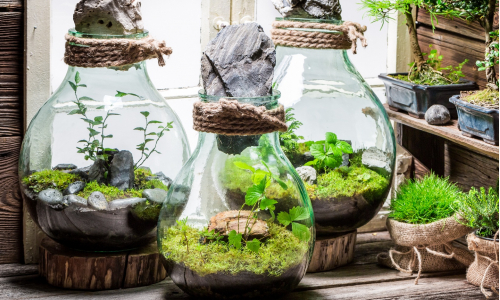 Rastlinné terárium: Vyrob si originálnu dekoráciu do domácnosti!