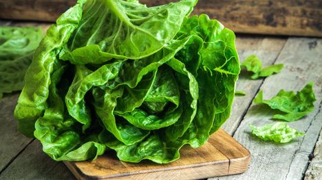 Prečo je hlávkový šalát odporúčanou zeleninou pri chudnutí?