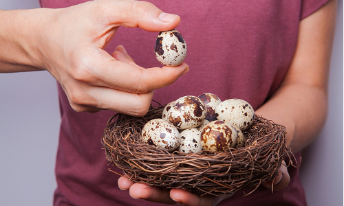 Prepeličie vajíčka: Pozri sa, čo obsahujú a prečo ich používať!