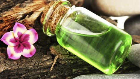 6 tipov ako bojovať proti akné a lupinám s Tea tree olejom