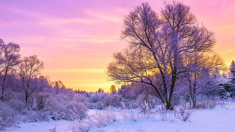 Je zima najkrajším obdobím? Tieto zimné krásy ti vezmú dych!