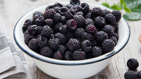 Top recepty z černíc: Najlepšie a najchutnejšie spracované ovocie!