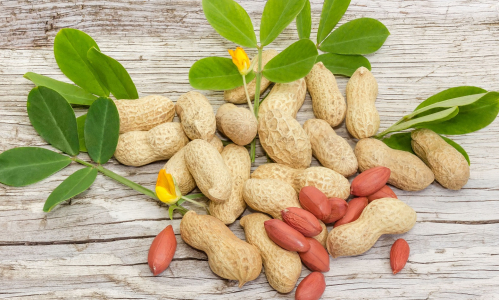 Aké sú účinky arašidov? Mnohé z nich ťa určite prekvapia