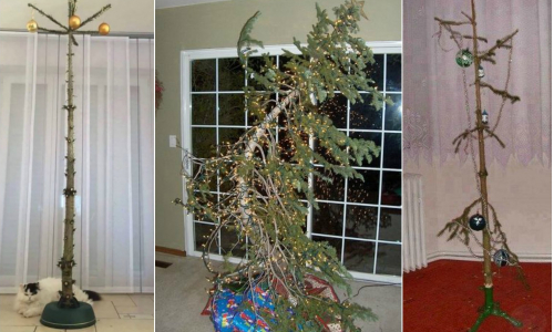 Najškaredšie vianočné stromčeky vôbec: To si aj niekto kúpil?