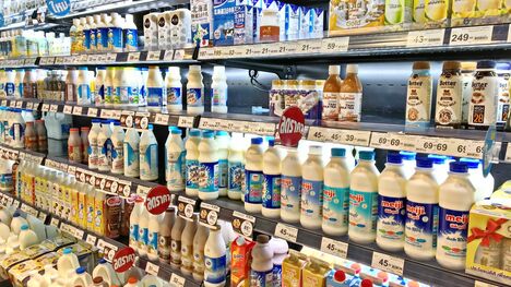 Konzumuješ light mliečne výrobky? Prečo ti pri chudnutí skôr uškodia?