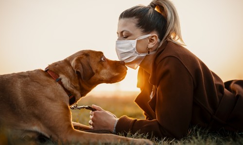 Koronavírus a zvieratá: 3 dôvody, prečo môže byť pes našou silnou oporou
