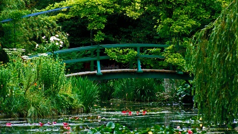 Najkrajšie botanické záhrady v Európe – ponúkajú krásu aj oddych!