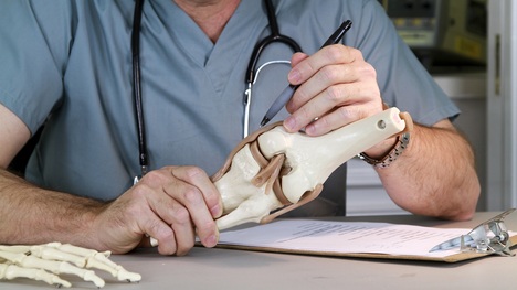 Názor ortopéda na dopĺňanie kolagénu: Aký je význam kolagénu pre kĺby?
