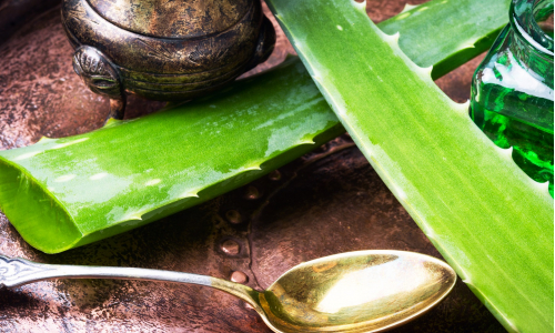 7 tipov, ako využiť Aloe vera pre krásu: Prečo ich vyskúšať?
