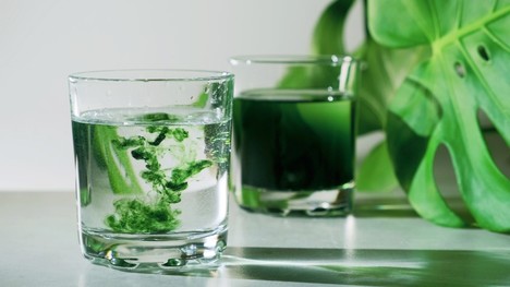 Najnovší hit influencerov: Zelené farbivo chlorofyl konkuruje aj spiruline