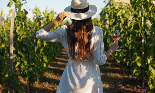 Vínny cestovný ruch (enoturizmus): Necháš sa zlákať vínnymi cestami?