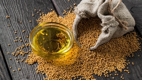 Horčicový olej – vyskúšajte ho nielen v kuchyni ale aj na vlasy, pokožku a pre zdravie