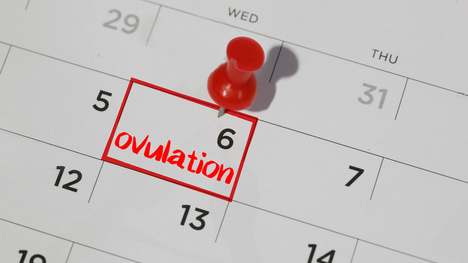 Toto sú najčastejšie znaky ovulácie: Vďaka ním (ne)otehotnieš!