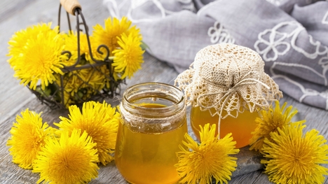 Recept na púpavový med: Takto si ho pripravíš rýchlo a jednoducho!