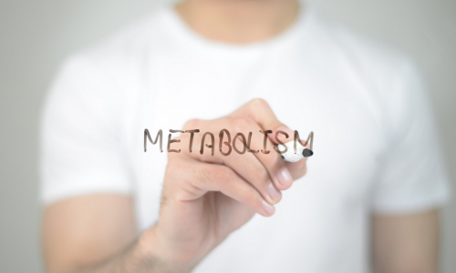 Trápi ťa pomalý metabolizmus? Toto je 7 najčastejších vinníkov!