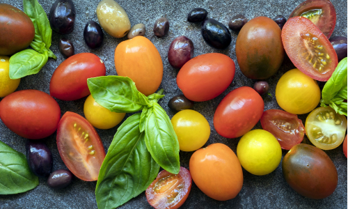 Divoké paradajky: Takto si ich môžeš vypestovať sama!