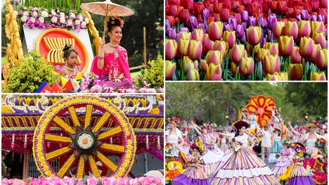 Najkrajšie kvetinové festivaly: Vône, farby a dychvyrážajúci zážitok