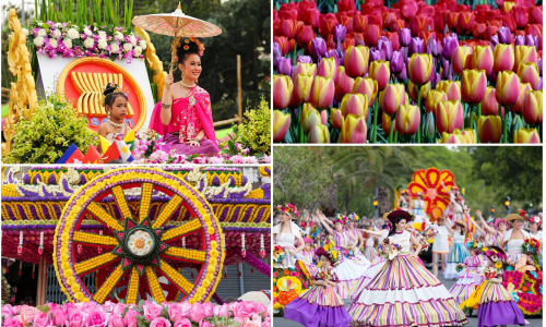 Najkrajšie kvetinové festivaly: Vône, farby a dychvyrážajúci zážitok