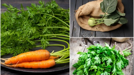 Vňate zo zeleniny: Ktoré z nich majú liečivé vlastnosti?