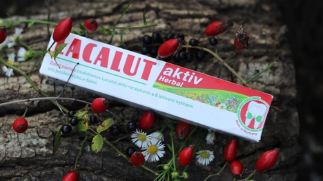 TEST: Lacalut - zubná pasta Aktiv Herbal