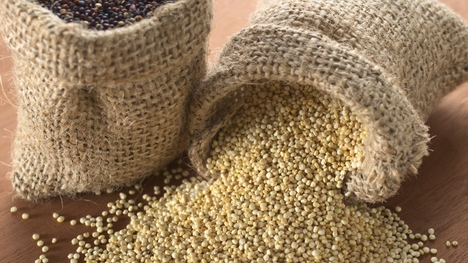 Quinoa - zrniečka bez lepku a cholesterolu