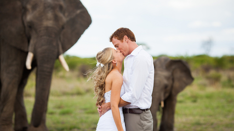 Prežite svadbu a medové týždne na Safari