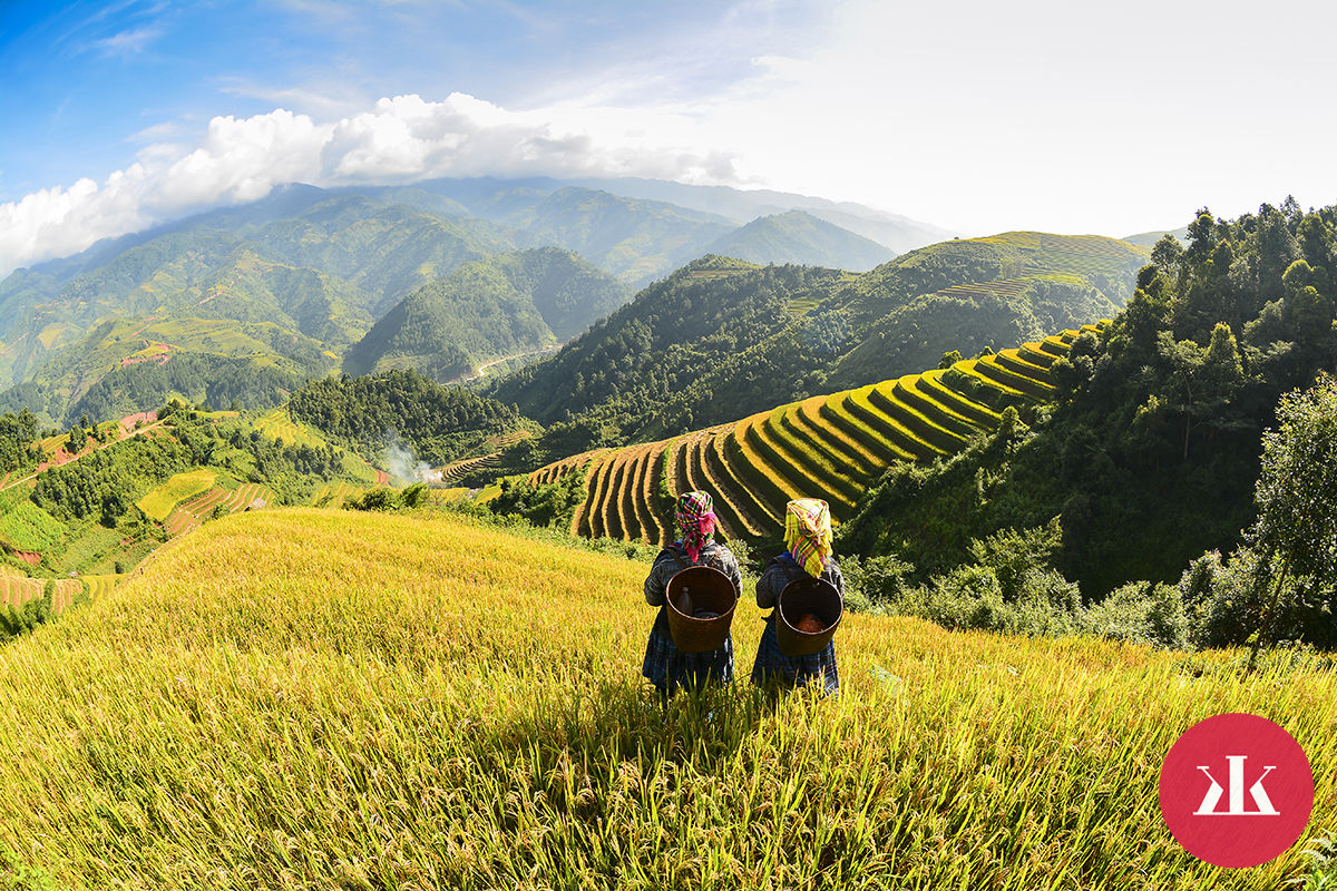Vietnam - krajina ryžových polí