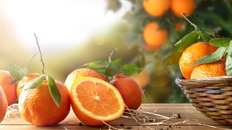 Pomarančovú kôru nevyhadzujte, ale recyklujte!