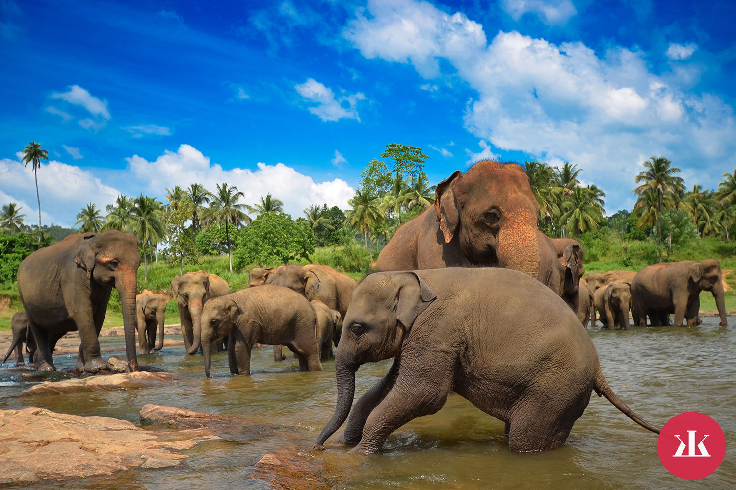 Zažite exotiku na Srí Lanke